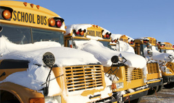 Mass Transit Industry